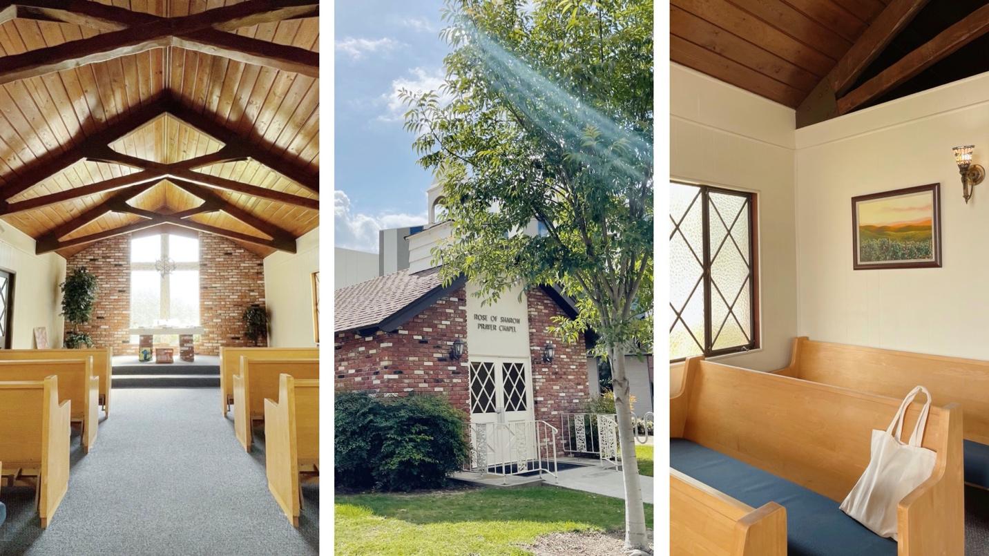 A Testimony of Lamentation